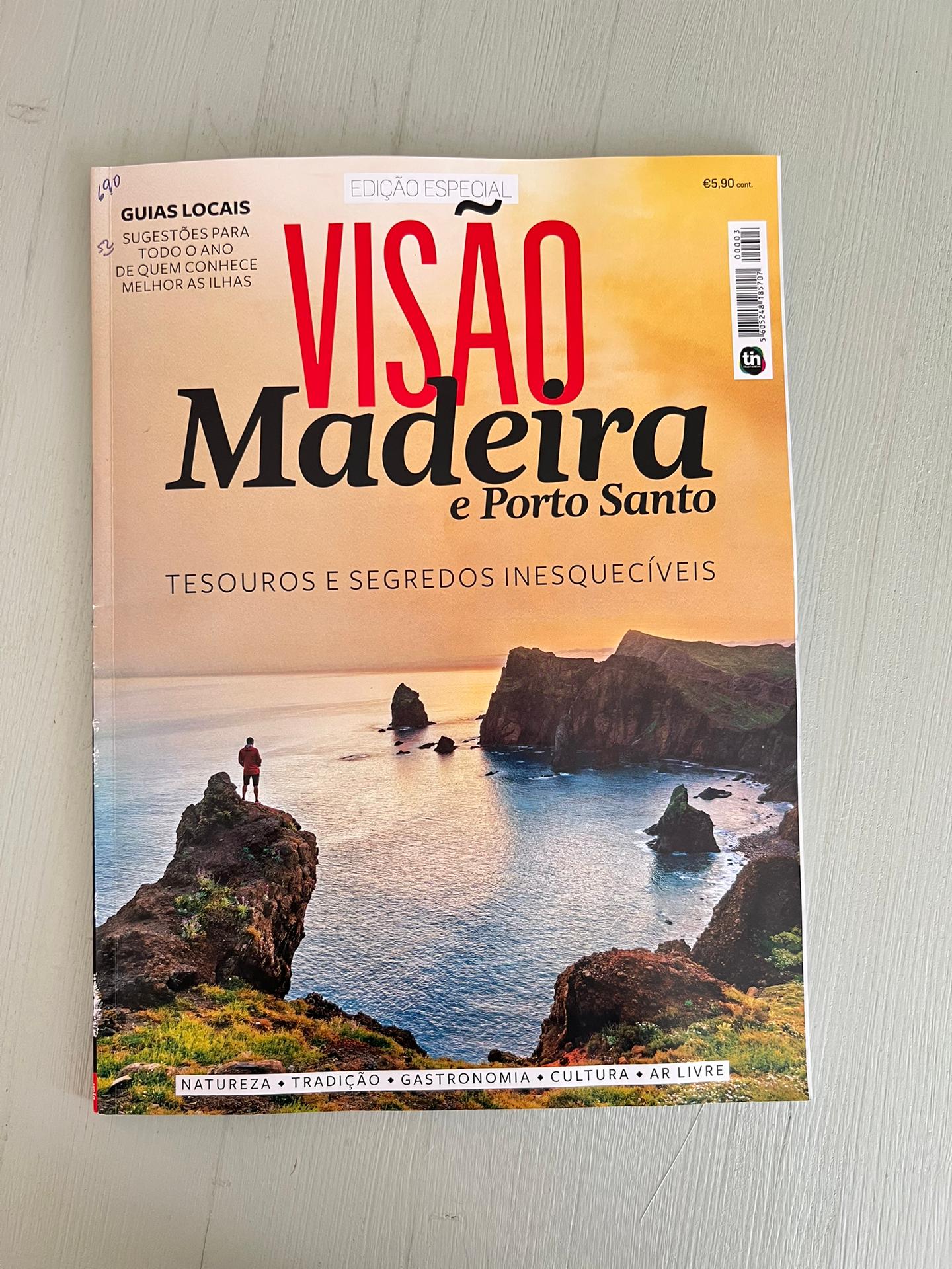 ARTICLE in Revista Visão Madeira